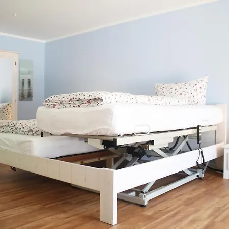 Muschel Whg Delfin *