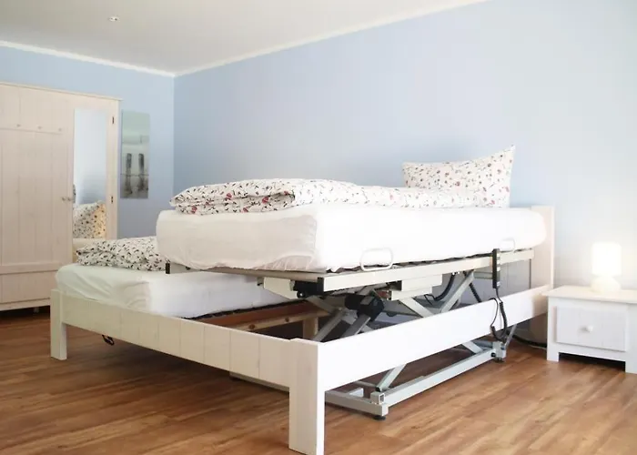 Muschel Whg Delfin *